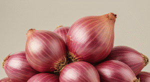 Onion onion bintangbumi (5)