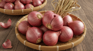 Onion onion bintangbumi (6)