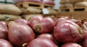 Onion onion bintangbumi (7)